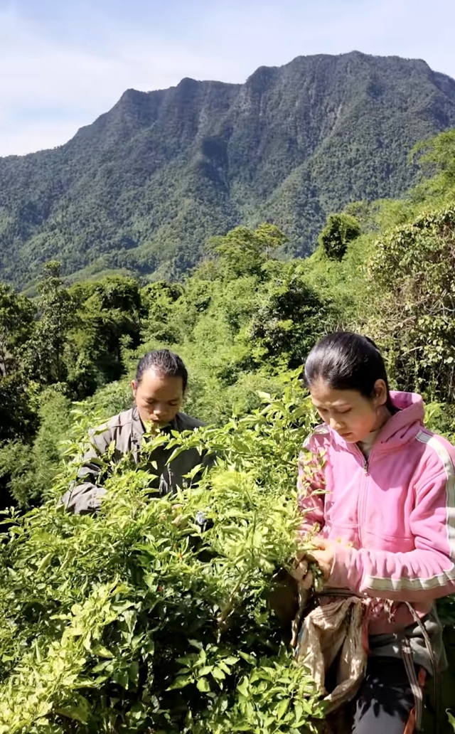 Làm clip triệu view bán nông sản núi rừng- Ảnh 1.