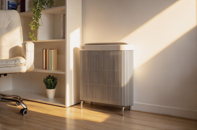 LG mở rộng lựa chọn, mang không khí sạch đến không gian sống hiện đại - Ảnh 1.