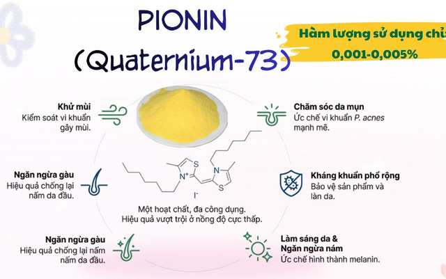 Tại sao pionin (quaternium-73) được chuyên gia nhận định là xu hướng điều trị mụn mới? - Ảnh 2.
