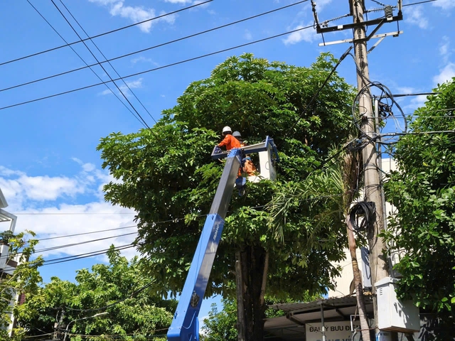 PC Quảng Ngãi đảm bảo cấp điện an toàn dịp Quốc khánh 2.9 - Ảnh 1.