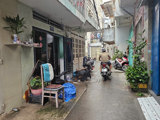 Khổ sở vì tiếng gà gáy giữa khu dân cư TP.HCM - Ảnh 3.