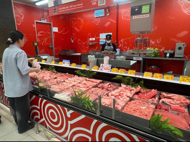 Giá heo hơi hôm nay 28.8.2026: Miền Bắc hạ nhiệt, thị trường cả nước chững lại- Ảnh 1.