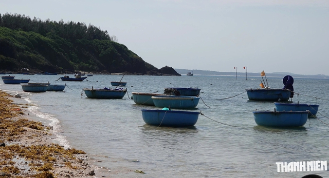 Kỳ 2: Sa Kỳ, cửa biển giữa làng đá đen hòn Bàn Than - Ảnh 7.