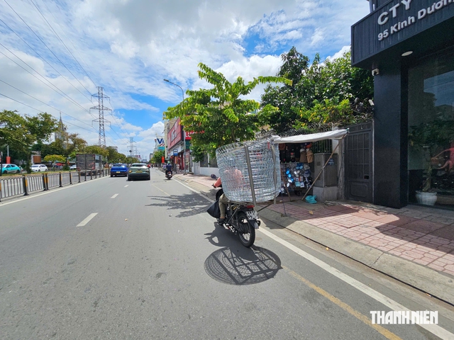 Khổ sở vì tiếng gà gáy giữa khu dân cư TP.HCM - Ảnh 7.