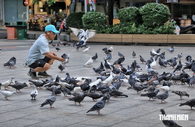 Lịch âm hôm nay 30.8: Ngày thứ 2 nghỉ lễ Quốc khánh 2.9, có gì lưu ý? - Ảnh 2.