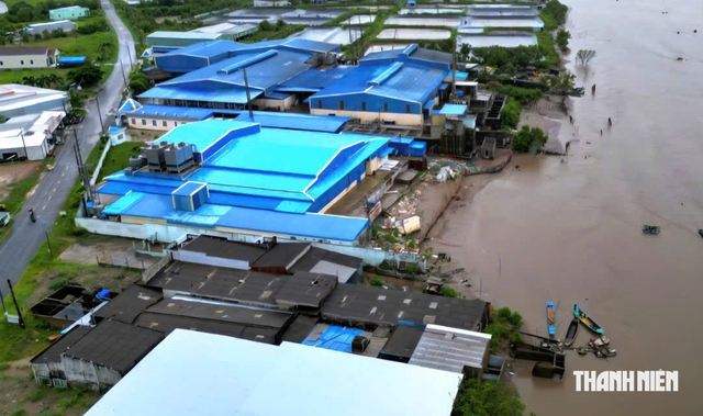 Cà Mau dành hơn 480 tỉ đồng xây dựng kè chống sạt lở bờ sông Gành Hào- Ảnh 1.