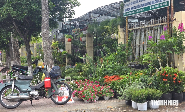 Hàng quán tại sân vận động Long An phải dọn đi trước ngày 1.9- Ảnh 2.