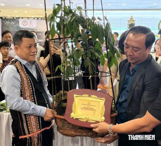 Củ sâm Ngọc Linh hơn 35 năm tuổi bán 725 triệu đồng có gì đặc biệt? - Ảnh 4.