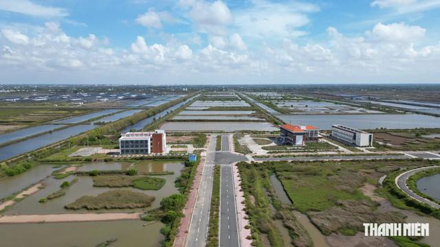 Thanh tra toàn diện Khu phát triển tôm công nghệ cao ở Cà Mau- Ảnh 1.