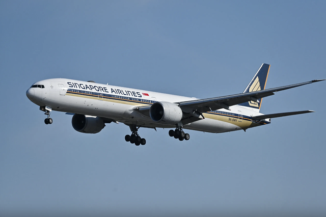 Cựu ca sĩ Thái Lan kiện Singapore Airlines vì sự cố xiên gà - Ảnh 1.