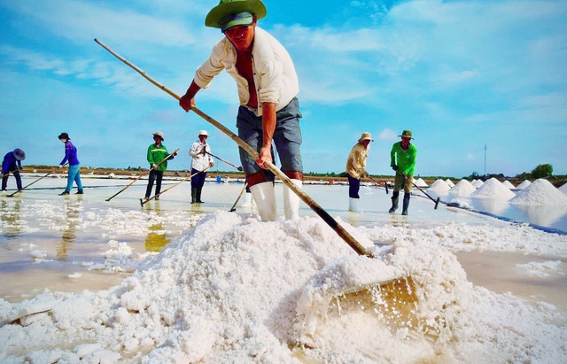 Nghề muối trăm năm xứ c&ocirc;ng tử Bạc Li&ecirc;u, c&oacute; tỉ ph&uacute;, c&oacute; nước mắt di&ecirc;m d&acirc;n- Ảnh 1.