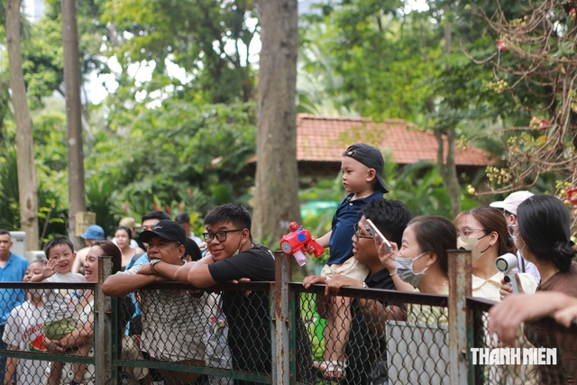 Ngày thứ hai nghỉ lễ Quốc khánh: Thảo Cầm Viên hút hàng ngàn gia đình vui chơi - Ảnh 8.