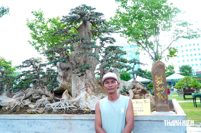 Tác phẩm bonsai được treo giá 10 tỉ đồng ở triển lãm sinh vật cảnh Quy Nhơn - Ảnh 2.
