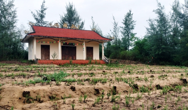 Nghĩa trang đặc biệt nhất miền Trung: Hơn 500 cá Ông an nghỉ giữa xã đảo- Ảnh 4.