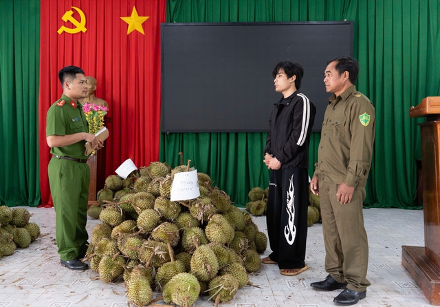 Bắt giữ nghi phạm từ Hải Phòng vào Đắk Lắk trộm 1,6 tấn sầu riêng- Ảnh 1.