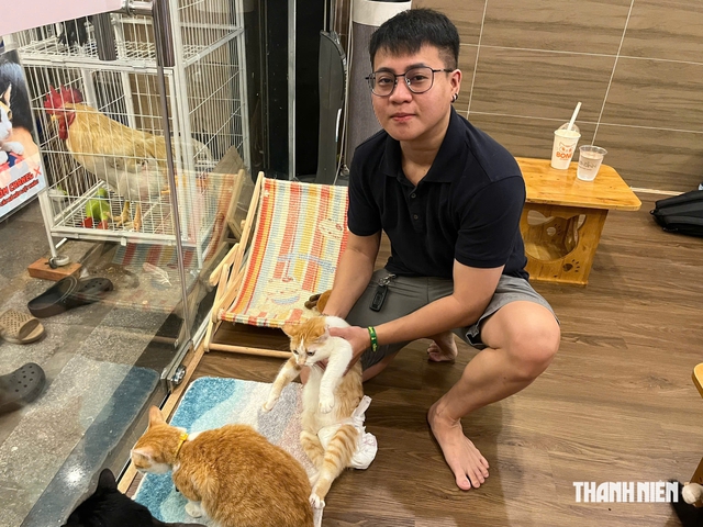 Người trẻ 'check in' qu&aacute;n c&agrave; ph&ecirc; cưu mang những con m&egrave;o khuyết tật   - Ảnh 1.