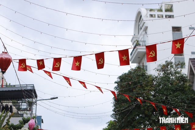 Cờ đỏ phủ k&iacute;n những con hẻm TP.HCM trước Quốc kh&aacute;nh - Ảnh 7.