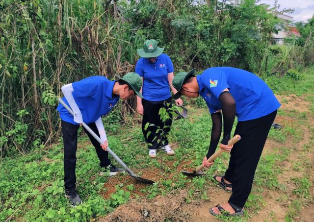 Mang màu xanh về với Tà Lài - Ảnh 1.