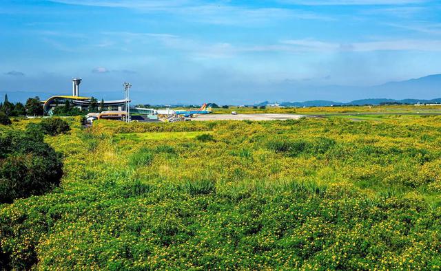 Sân bay duy nhất tại Việt Nam mang hình dáng hoa dã quỳ sắp tái xuất- Ảnh 2.