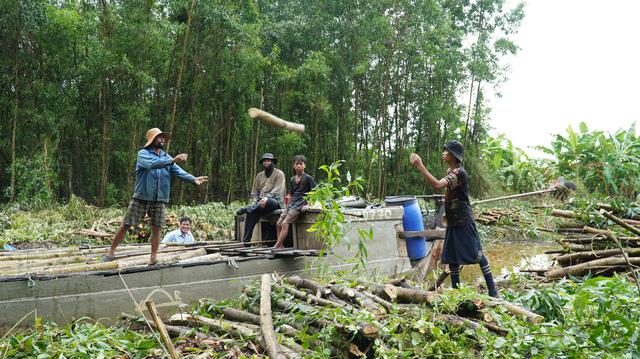 C&agrave; Mau muốn giữ gi&aacute; trị gỗ keo bằng ph&aacute;t triển c&ocirc;ng nghiệp chế biến - Ảnh 5.