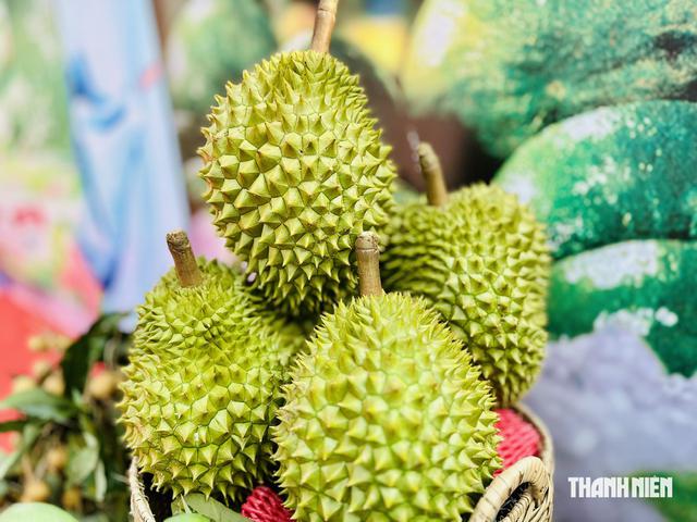 Trung Quốc 'hút' rau quả Việt Nam, vì sao?
- Ảnh 1.