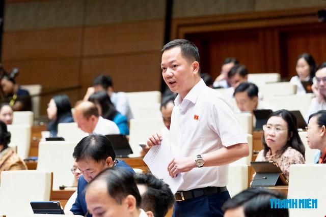 Đại biểu Quốc hội đề xuất đưa kim cương vào ngành nghề kinh doanh có điều kiện - Ảnh 1.