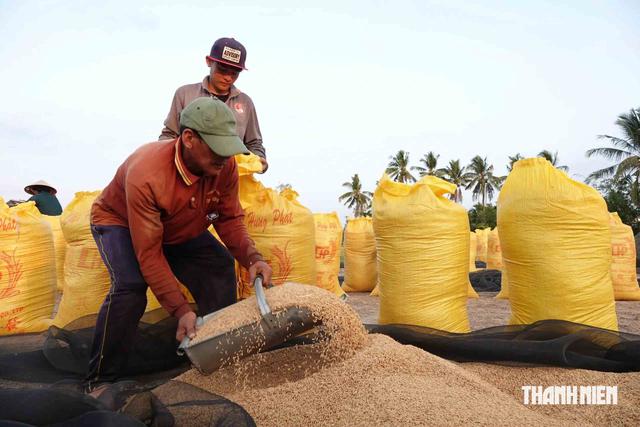 Gi&aacute; lương thực c&oacute; sốt bởi 'si&ecirc;u El Nino'?- Ảnh 1.