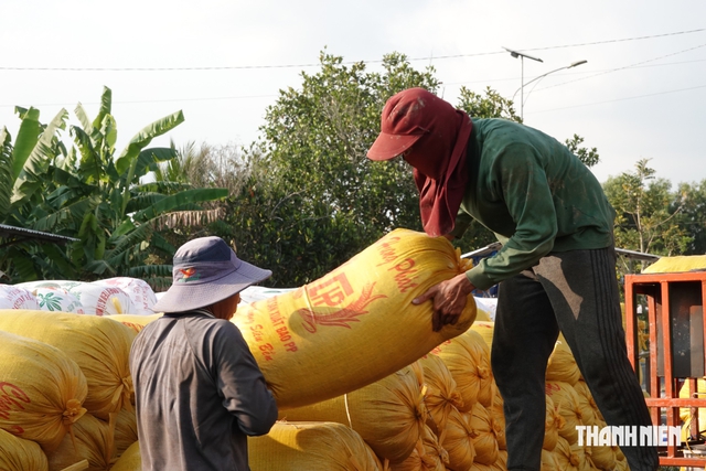 'Khách ruột' của gạo Việt Nam sẽ nhập 5 triệu tấn vì El Nino - Ảnh 1.