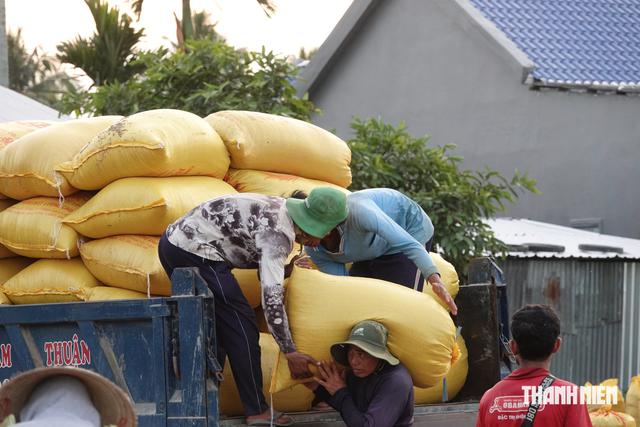 Việt Nam chi gần 1 tỉ USD nhập khẩu 2,8 triệu tấn l&uacute;a gạo, nhiều hay &iacute;t? - Ảnh 1.