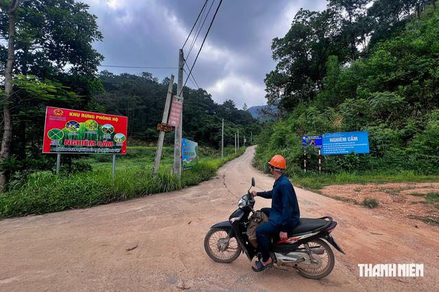 Nghịch lý 'dân gốc' mòn mỏi chờ sổ đỏ, villa/homestay vẫn mọc trong rừng phòng hộ - Ảnh 1.
