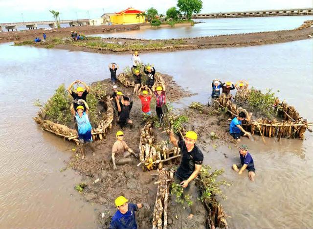 Khi đước cắm sâu - bờ thôi lở - Ảnh 1.