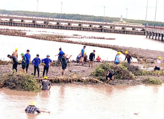 Khi đước cắm sâu - bờ thôi lở - Ảnh 4.