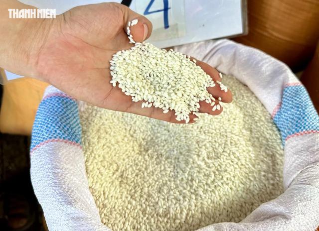 Người Việt chuyển từ gạo Campuchia sang ăn nếp L&agrave;o  - Ảnh 1.