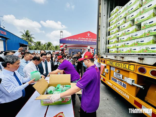 Dư địa lớn cho thương mại giữa Việt Nam với &Uacute;c v&agrave; New Zealand- Ảnh 1.