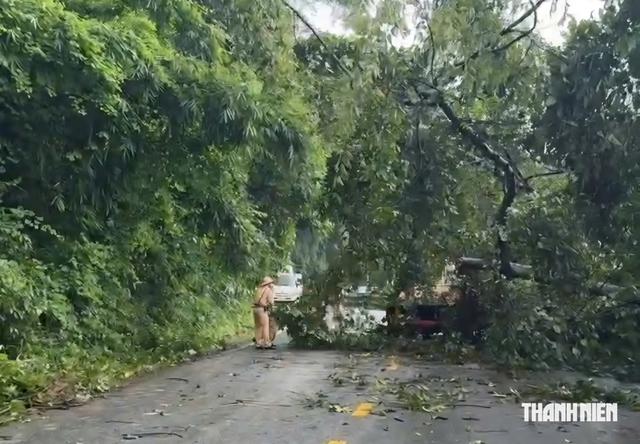 Khẩn trương giải tỏa c&acirc;y đổ tr&ecirc;n đ&egrave;o Bảo Lộc v&agrave; sạt lở tr&ecirc;n đ&egrave;o Con &Oacute;- Ảnh 3.