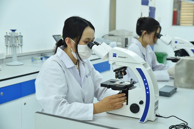 C&aacute;c lĩnh vực dẫn đầu xu hướng tuyển dụng nh&acirc;n sự mới v&agrave;o nghề tại Việt Nam - Ảnh 1.