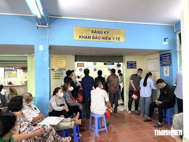 TP.HCM hướng dẫn bảo hiểm y tế học sinh, sinh vi&ecirc;n năm học 2026 - 2027 - Ảnh 1.
