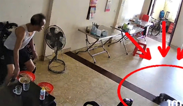 Kinh hãi phát hiện kỳ đà hoa 'khủng' nặng 6 kg bò vào nhà - Ảnh 1.