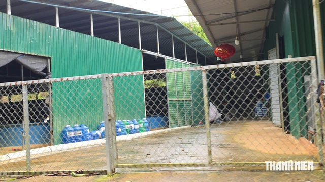Khai thác cát lậu băm nát thượng nguồn sông Đạ Dâng- Ảnh 6.