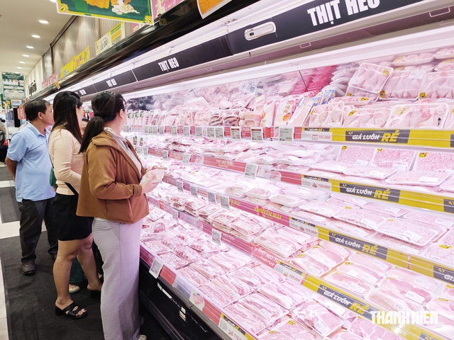 Giá heo hơi hôm nay 24.9.2026: Giảm ở miền Trung và miền Nam- Ảnh 1.