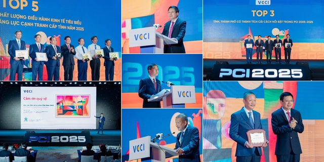 Doanh nghiệp Việt lớn lên thế nào trong một môi trường thể chế đang đổi mới? - Ảnh 1.