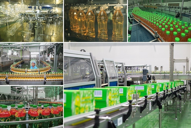 Doanh nghiệp Việt lớn lên thế nào trong một môi trường thể chế đang đổi mới? - Ảnh 3.