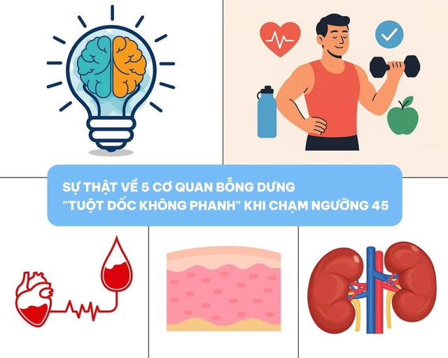Sự thật về 5 cơ quan bỗng dưng &lsquo;tuột dốc kh&ocirc;ng phanh&rsquo; khi bạn chạm ngưỡng 45- Ảnh 1.