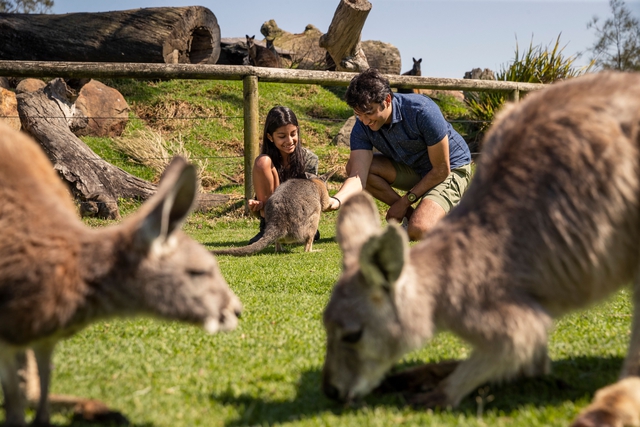 Muốn ‘đổi gió’ khi đến Australia, đến ngay New South Wales chiêm ngưỡng cảnh sắc hùng vĩ- Ảnh 6.