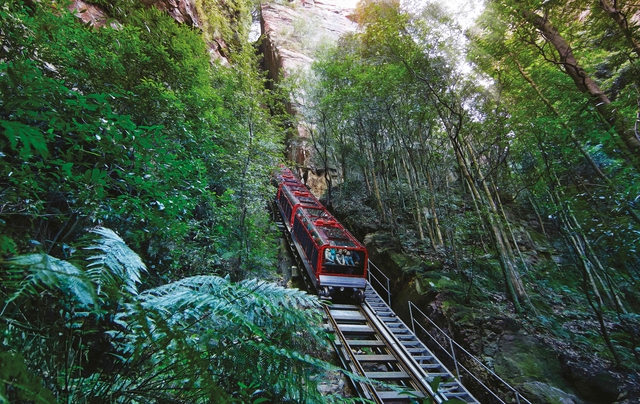 Muốn ‘đổi gió’ khi đến Australia, đến ngay New South Wales chiêm ngưỡng cảnh sắc hùng vĩ- Ảnh 3.