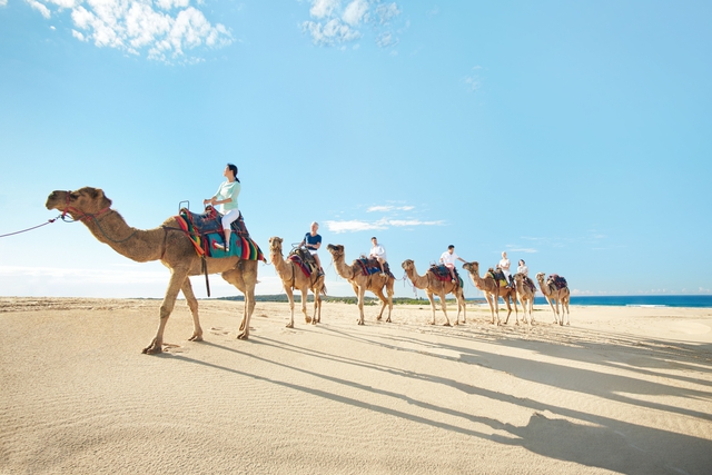 Muốn ‘đổi gió’ khi đến Australia, đến ngay New South Wales chiêm ngưỡng cảnh sắc hùng vĩ- Ảnh 8.
