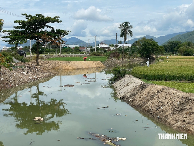 Người d&acirc;n T&acirc;y Nha Trang bất ngờ khi những d&ograve;ng s&ocirc;ng 'b&egrave;o' được khơi th&ocirc;ng - Ảnh 7.