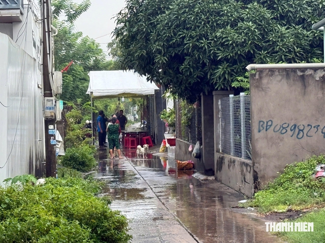 Vụ án mạng xã Phước Hải 3 người thương vong, nghi can từng nghiện ma túy - Ảnh 1.