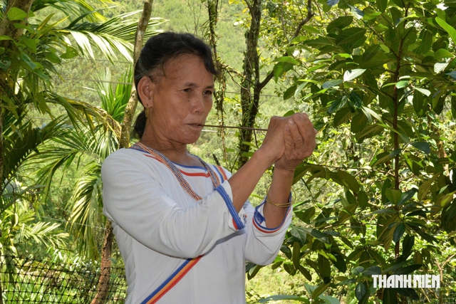 Kèn a máp, tiếng lòng phụ nữ Cor- Ảnh 1.