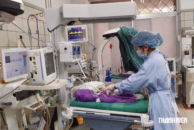 5.000 sinh viên Trường ĐH Điều dưỡng Nam Định cần được ổn định sau sáp nhập - Ảnh 1.